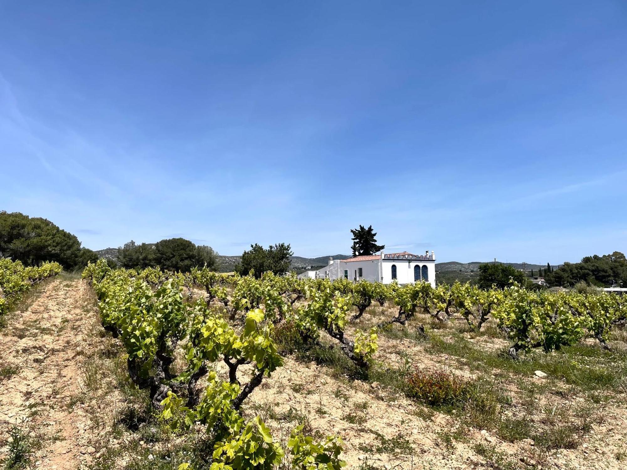 Masia St Salvador 1582 Cubelles Εξωτερικό φωτογραφία